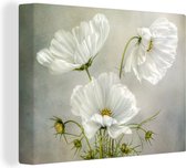 Canvas Schilderij Bloemen - Stilleven - Klaproos - Wit - Botanisch - 80x60 cm - Wanddecoratie