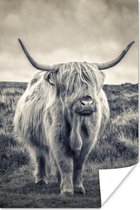 Poster Schotse hooglander - Dieren - Wolken - Koe - Natuur - 120x180 cm XXL