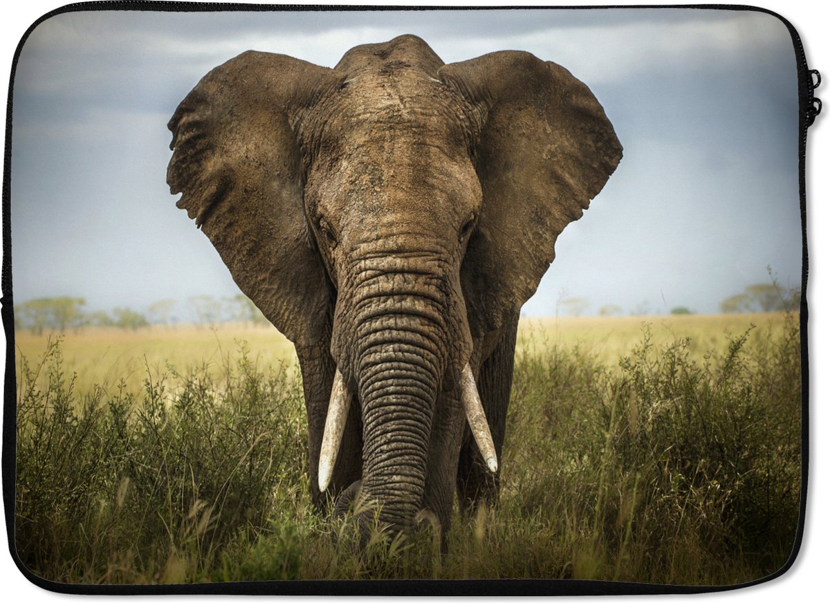 Laptophoes 14 inch - Olifant - Natuur - Gras - Dieren - Landschap - Laptop sleeve - Binnenmaat 33x23 cm - Zwarte achterkant
