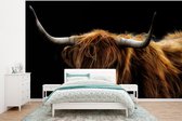 Behang - Fotobehang Schotse Hooglander - Horens - Zwart - Dieren - Natuur - Wild - Koe - Breedte 295 cm x hoogte 220 cm