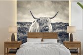 Behang - Fotobehang Schotse hooglander - Dieren - Wolken - Koe - Natuur - Breedte 280 cm x hoogte 280 cm