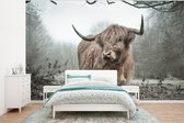 Behang - Fotobehang Schotse Hooglander - Bos - Mist - Koe - Dieren - Natuur - Breedte 375 cm x hoogte 280 cm