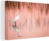 Canvas Schilderij Zilverreiger bij het moerasriet - 120x80 cm - Wanddecoratie