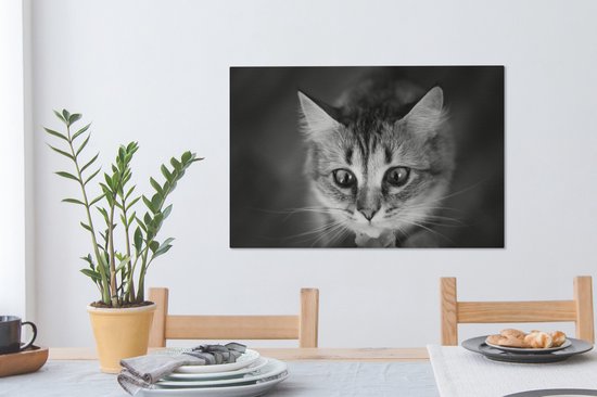 Profil animalier sentant le chat en toile noir et blanc 2cm 90x60 cm - Tirage photo sur toile (Décoration murale salon / chambre)