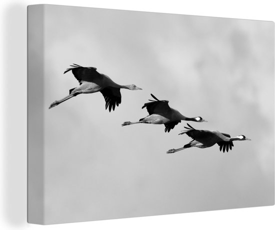 Canvas Schilderij Drie Kraanvogels vliegen op spectaculaire manier door de lucht - zwart wit - 90x60 cm - Wanddecoratie