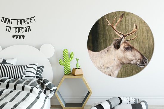 Gros plan d'un renne contre un arbre Assiette en plastique cercle mural ⌀ 140 cm