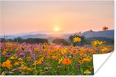 Poster Bloemen - Zonsondergang - Berg - 60x40 cm