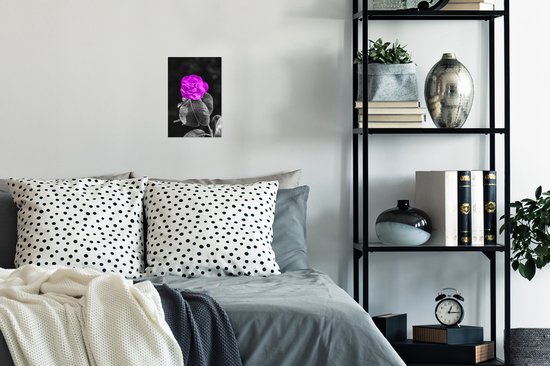 Affiche Fleurs - Rose - Violet - Zwart - Wit - 20x30 cm