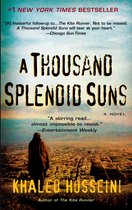 Livre 'A Thousand Splendid Suns' de Khaled Hosseini. Un personnage surplombe une ville.