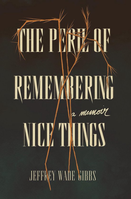 The Peril of Remembering Nice Things - cover