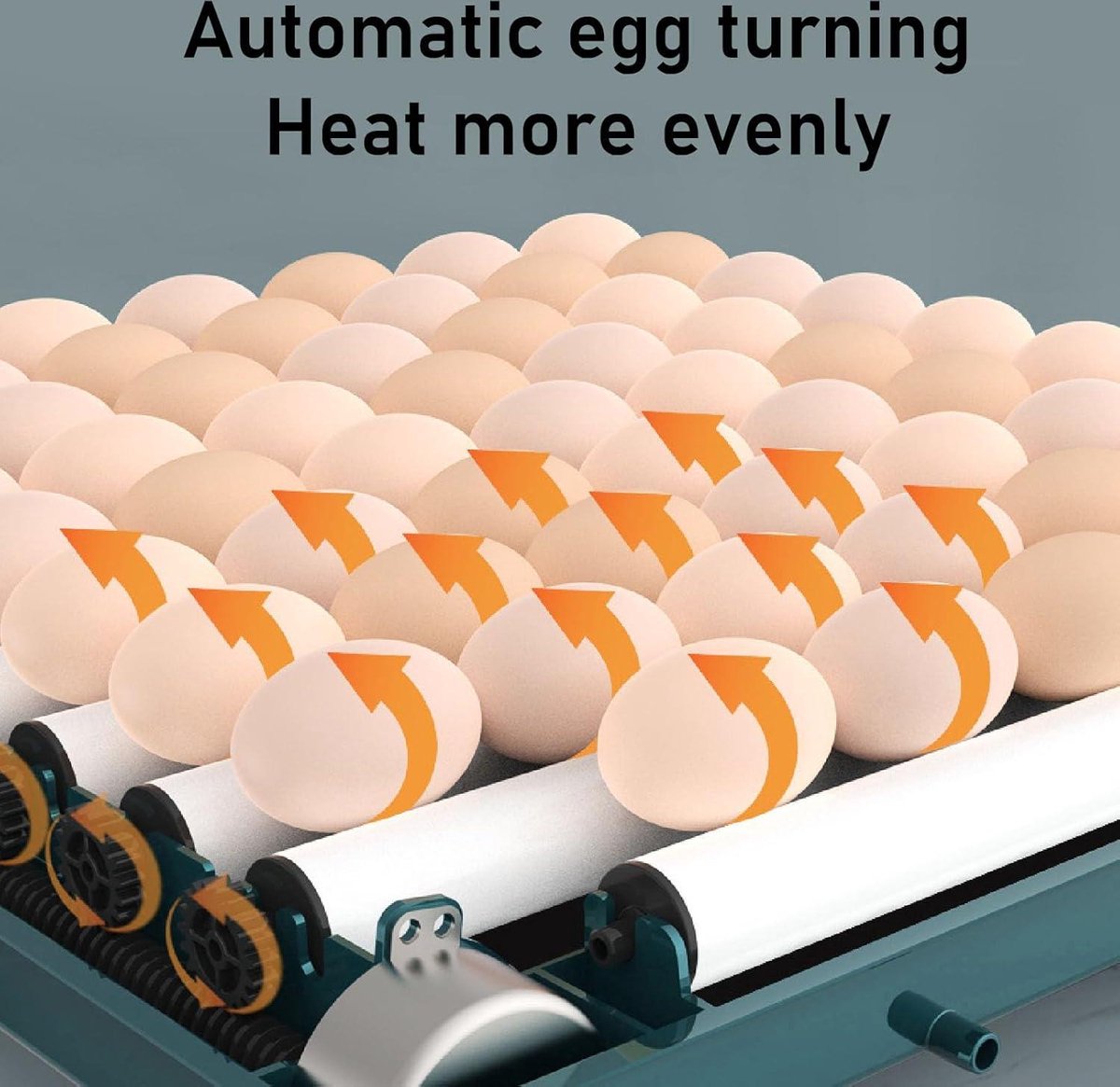 Broedmachine Volautomatische Kippeneieren Broedmachine 9-35 Eieren Broedmachine met Efficiënte LED-verlichting Broedmachine voor Kippen, Ganzen, Eenden, Duiven, Kwartels, Vogels (EU-stekker 220V 48 eieren