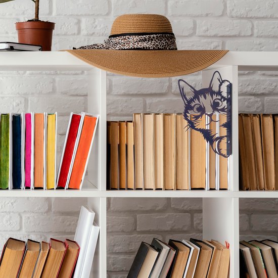 Zwart metalen kattenfiguur dat vanaf een boekenplank gluurt, met grote ogen en een speelse uitdrukking.