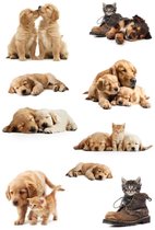 27x Chiens / chiot autocollants avec chats / chats -Autocollants pour enfants animaux