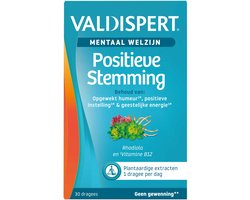 Valdispert Positieve Stemming - Vitamine B12 voor behoud opgewekt humeur, positieve instelling & geestelijke energie - Rhodiola - 30 dragees
