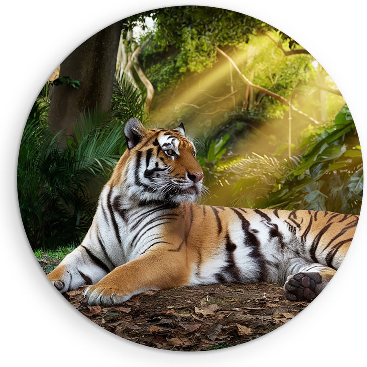 Saammp Muurcirkel Hout - Tijger in de zon - Natuur - Dieren - Ø 70 - Wandcirkel - Wanddecoratie Cirkel - muurdecoratie Woonkamer - Slaapkamer decoratie - Rond Schilderij