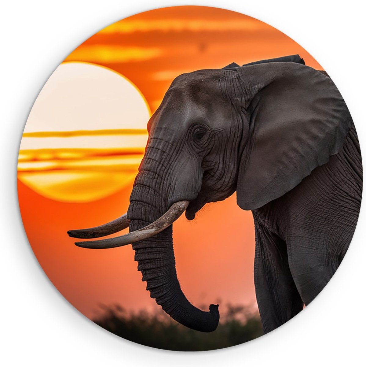 Saammp Forex Muurcirkel - Olifanten met afrikaanse zonsondergang - Dieren - Ø 50 - Wandcirkel - Wanddecoratie Cirkel - muurdecoratie Woonkamer - Slaapkamer decoratie - Rond Schilderij