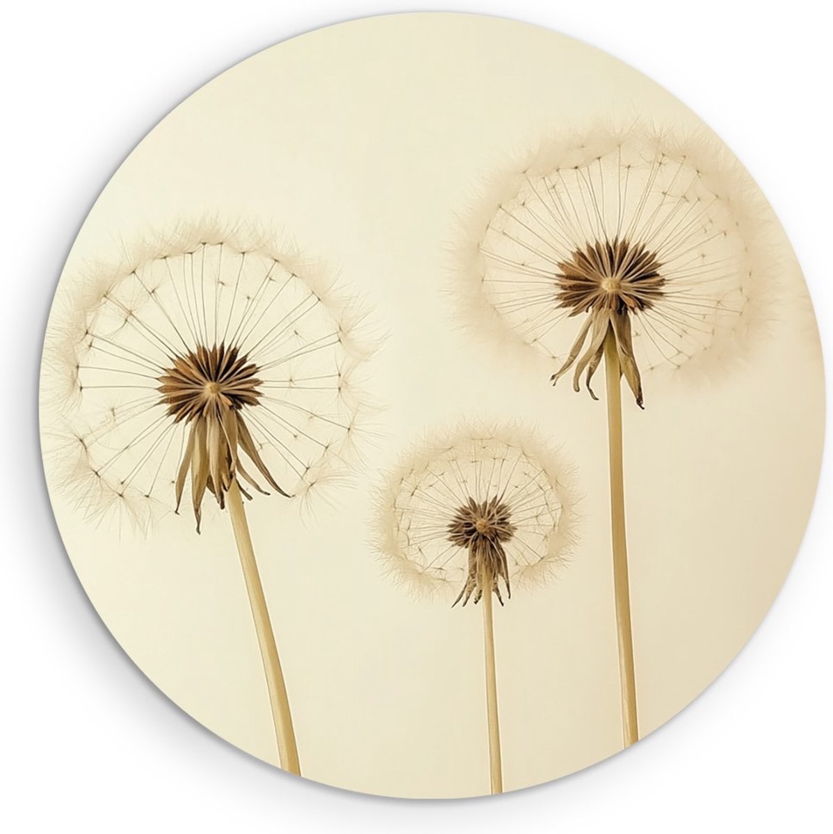 Saammp Forex Muurcirkel - Minimalistische Paardenbloemen - Natuur - Modern - Ø 70 - Wandcirkel - Wanddecoratie Cirkel - Muurdecoratie Woonkamer - Kantoor Decoratie