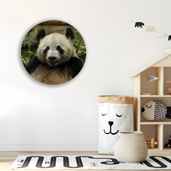 Saammp Forex Muurcirkel - Panda tussen het gras - Natuur - Dieren - Ø 90 - Wandcirkel - Wanddecoratie Cirkel - Muurdecoratie Woonkamer - Slaapkamer decoratie - Rond Schilderij