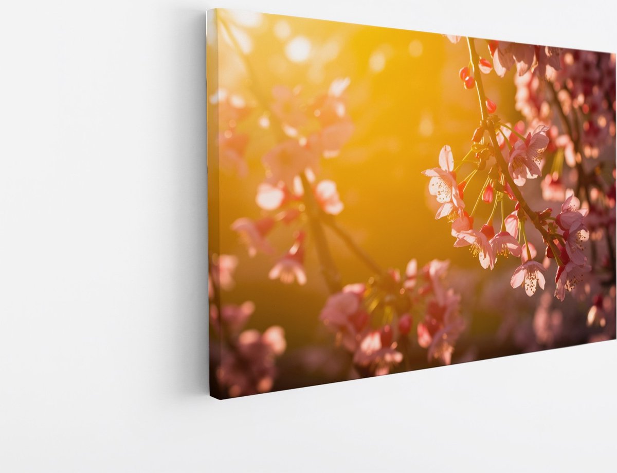 Saammp Canvas Schilderij - Roze Bloemen in zonsondergang - Natuur - 70x50 - Foto op canvas - Wanddecoratie - Muurdecoratie Woonkamer - Kantoor Decoratie Multicolor