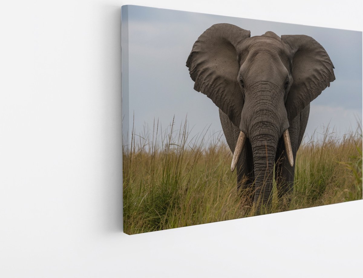 Saammp Canvas Schilderij - olifant in het gras - Afrika - Dieren - 150x100 - Foto op canvas - Wanddecoratie - muurdecoratie Woonkamer - Slaapkamer decoratie - Canvas Print Multicolor