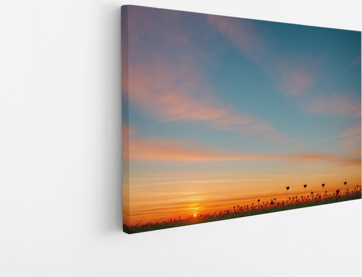 Saammp Canvas Schilderij - Landschap - Bloemenveld - Natuur - 100x75 - Foto op canvas - Wanddecoratie - Muurdecoratie Woonkamer - Slaapkamer decoratie - Canvas Print Multicolor