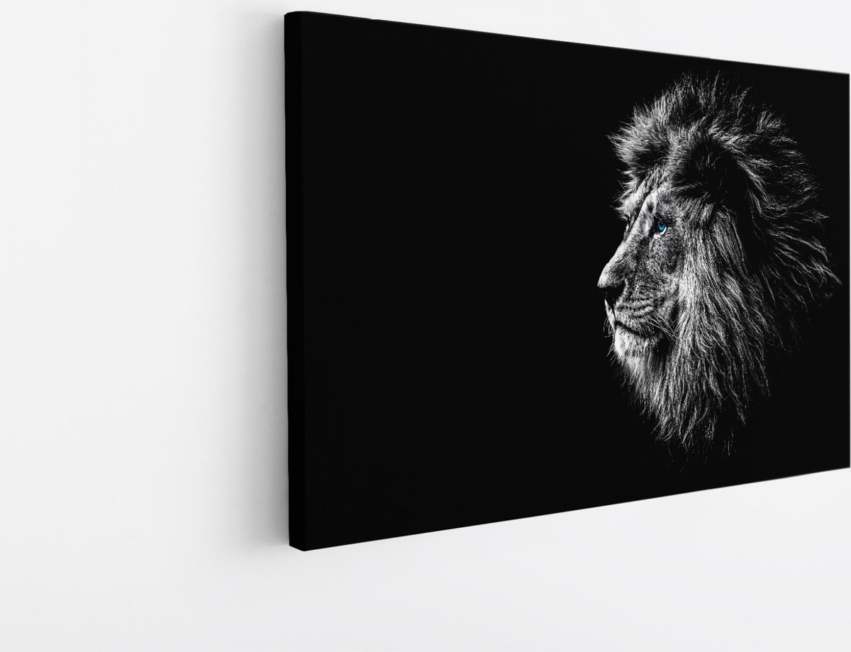 Saammp Canvas Schilderij - Portret van een Leeuw - Natuur - Dieren - 50x40 - Foto op canvas - Wanddecoratie - Muurdecoratie Woonkamer - Slaapkamer decoratie - Canvas Print Multicolor