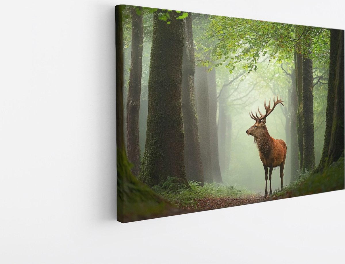 Saammp Canvas Schilderij - Hert tussen bomen in het bos - Natuur - Dieren - 50x40 - Foto op canvas - Wanddecoratie - Muurdecoratie Woonkamer - Slaapkamer decoratie - Canvas Print Multicolor