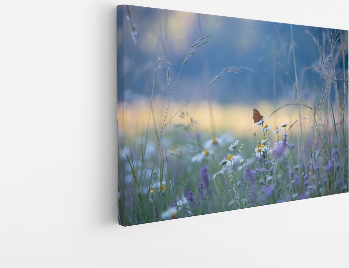 Saammp Canvas Schilderij - Vlinder - kleurrijk bloemenveld - Dieren - Natuur - 90x60 - Foto op canvas - Wanddecoratie - muurdecoratie Woonkamer - Slaapkamer decoratie - Canvas Print Multicolor
