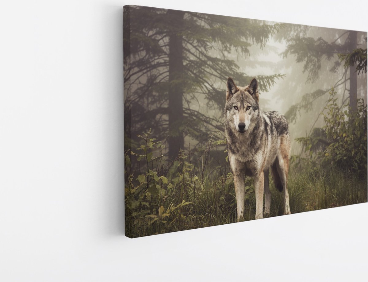 Saammp Canvas Schilderij - Wolf tussen de bomen - Dieren - Natuur - 30x20 - Foto op canvas - Wanddecoratie - muurdecoratie Woonkamer - Slaapkamer decoratie - Canvas Print Multicolor