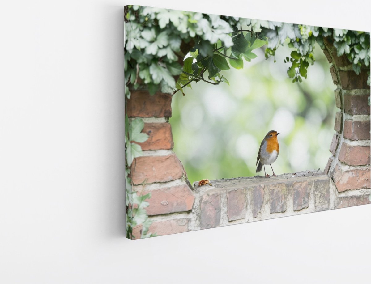 Saammp Canvas Schilderij - Kolibrie - Natuur - Doorkijk - 90x60 - Foto op canvas - Wanddecoratie - Muurdecoratie Woonkamer - Slaapkamer decoratie - Canvas Print Multicolor
