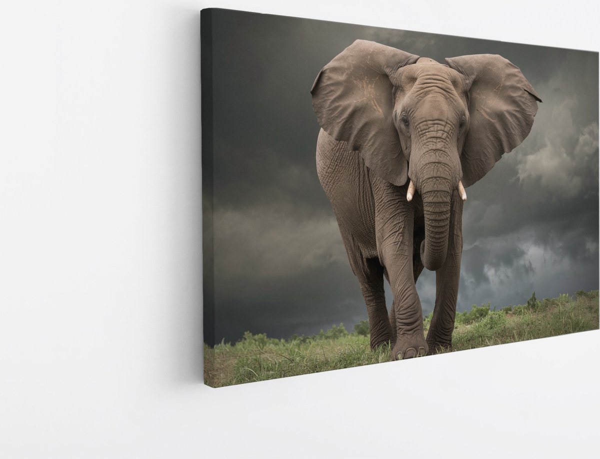 Saammp Canvas Schilderij - Olifant tijdens Storm - Afrika - Dieren - 70x50 - Foto op canvas - Wanddecoratie - muurdecoratie Woonkamer - Slaapkamer decoratie - Canvas Print Multicolor