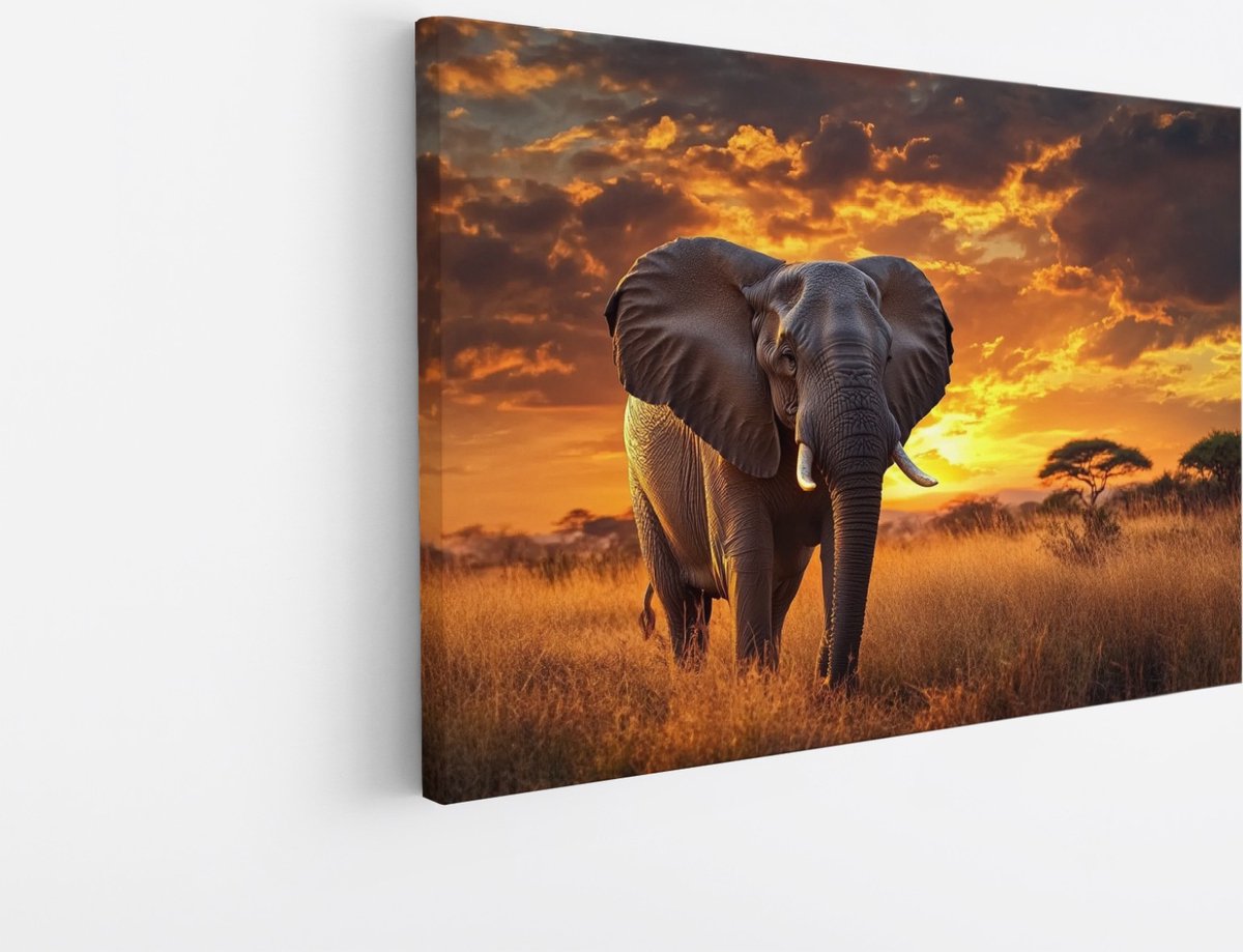 Saammp Canvas Schilderij - Olifant in Savanne - Afrika - Dieren - 70x50 - Foto op canvas - Wanddecoratie - muurdecoratie Woonkamer - Slaapkamer decoratie - Canvas Print Multicolor