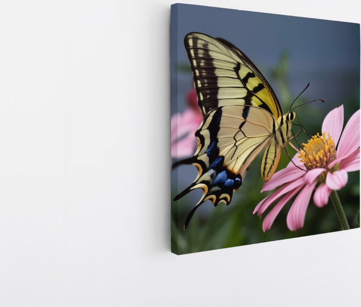 Saammp Canvas Schilderij - Vlinder op bloem - Natuur - Dieren - 30x30 - Foto op canvas - Wanddecoratie - Muurdecoratie Woonkamer - Slaapkamer decoratie - Canvas Print Multicolor