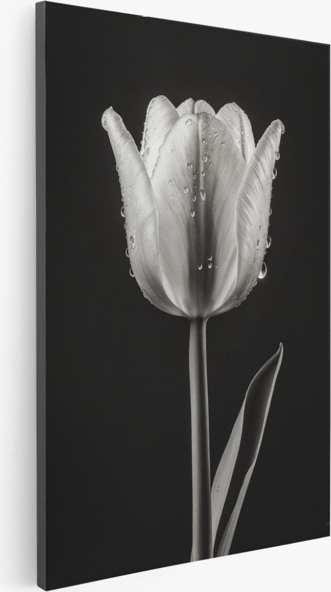 Saammp Canvas Schilderij - Tulp - Zwart-Wit - Bloemen - 20x30 - Foto op canvas - Wanddecoratie - Muurdecoratie Woonkamer - Kantoor Decoratie Multicolor