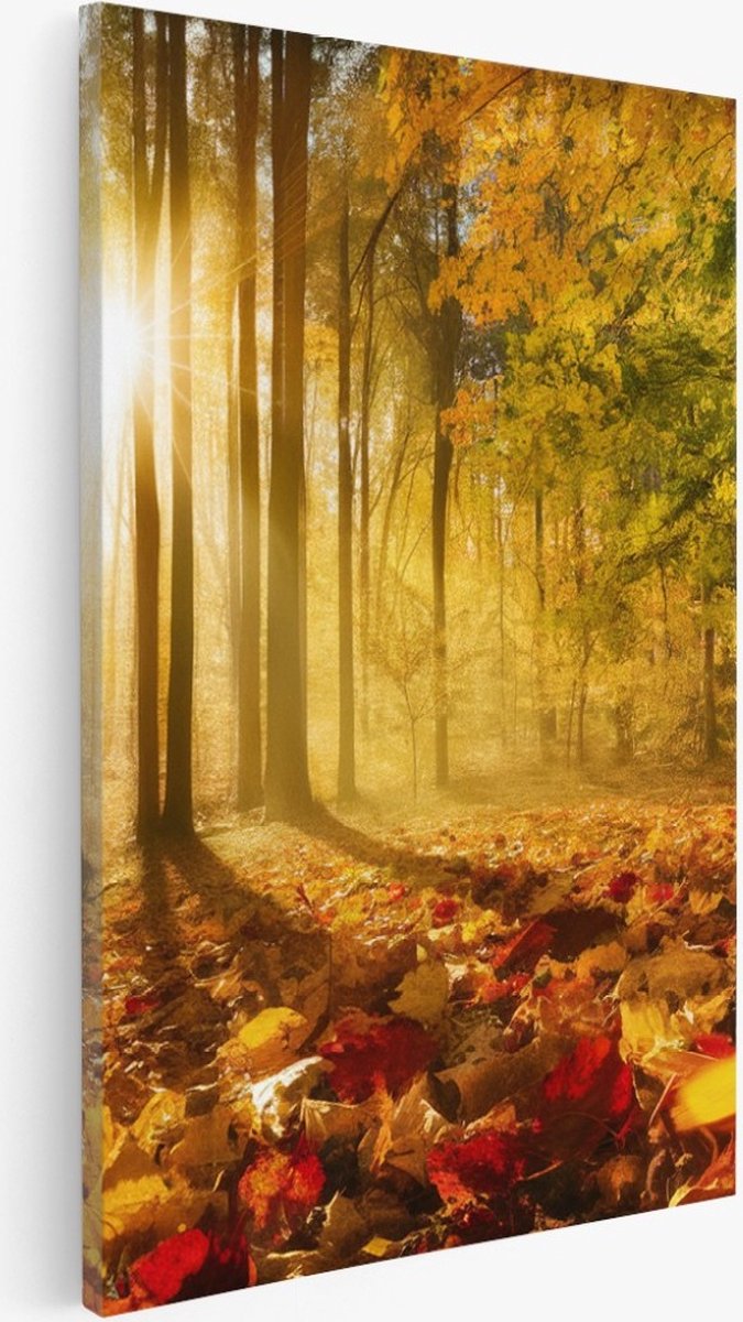 Saammp Canvas Schilderij - Herfstbladeren met zonsopgang - Landschap - Natuur - 20x30 - Foto op canvas - Wanddecoratie - Muurdecoratie Woonkamer - Slaapkamer decoratie - Canvas Print Multicolor