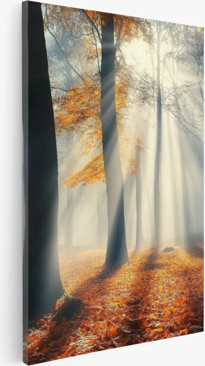 Saammp Canvas Schilderij - Natuur - Bos met paarse bloemen - landschappen - 30x40 - Foto op canvas - Wanddecoratie - Muurdecoratie Woonkamer - Slaapkamer decoratie - Canvas Print Multicolor