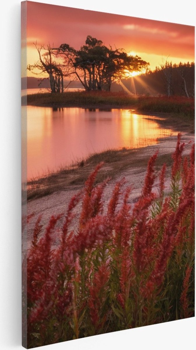 Saammp Canvas Schilderij - Rode Planten - Landschap - Zon - Bloemen - Natuur - 30x45 - Foto op canvas - Wanddecoratie - Muurdecoratie Woonkamer - Slaapkamer decoratie - Canvas Print Multicolor