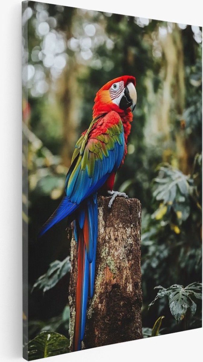 Saammp Canvas Schilderij - papegaai op boomstronk - Natuur - Dieren - 40x50 - Foto op canvas - Wanddecoratie - Muurdecoratie Woonkamer - Slaapkamer decoratie - Canvas Print Multicolor