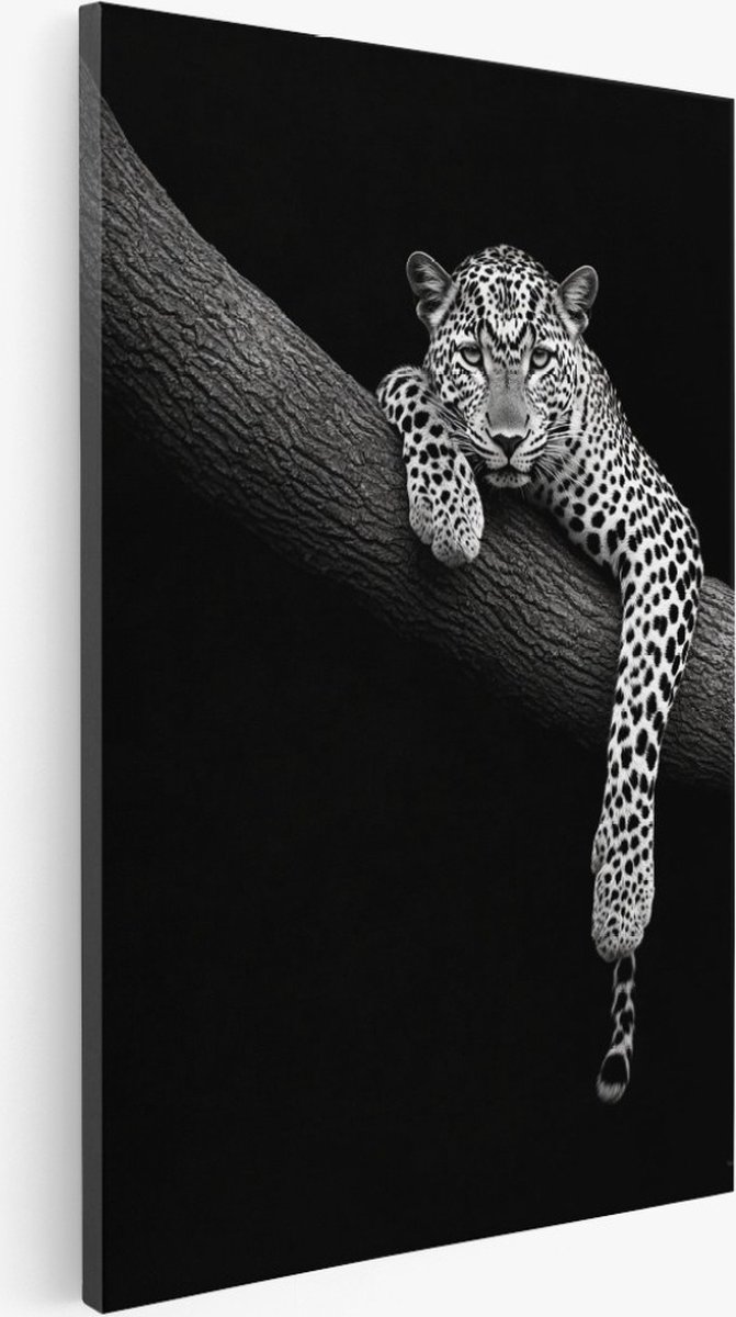 Saammp Canvas Schilderij - Panter op boom - Natuur - Dieren - 40x60 - Foto op canvas - Wanddecoratie - Muurdecoratie Woonkamer - Slaapkamer decoratie - Canvas Print Multicolor