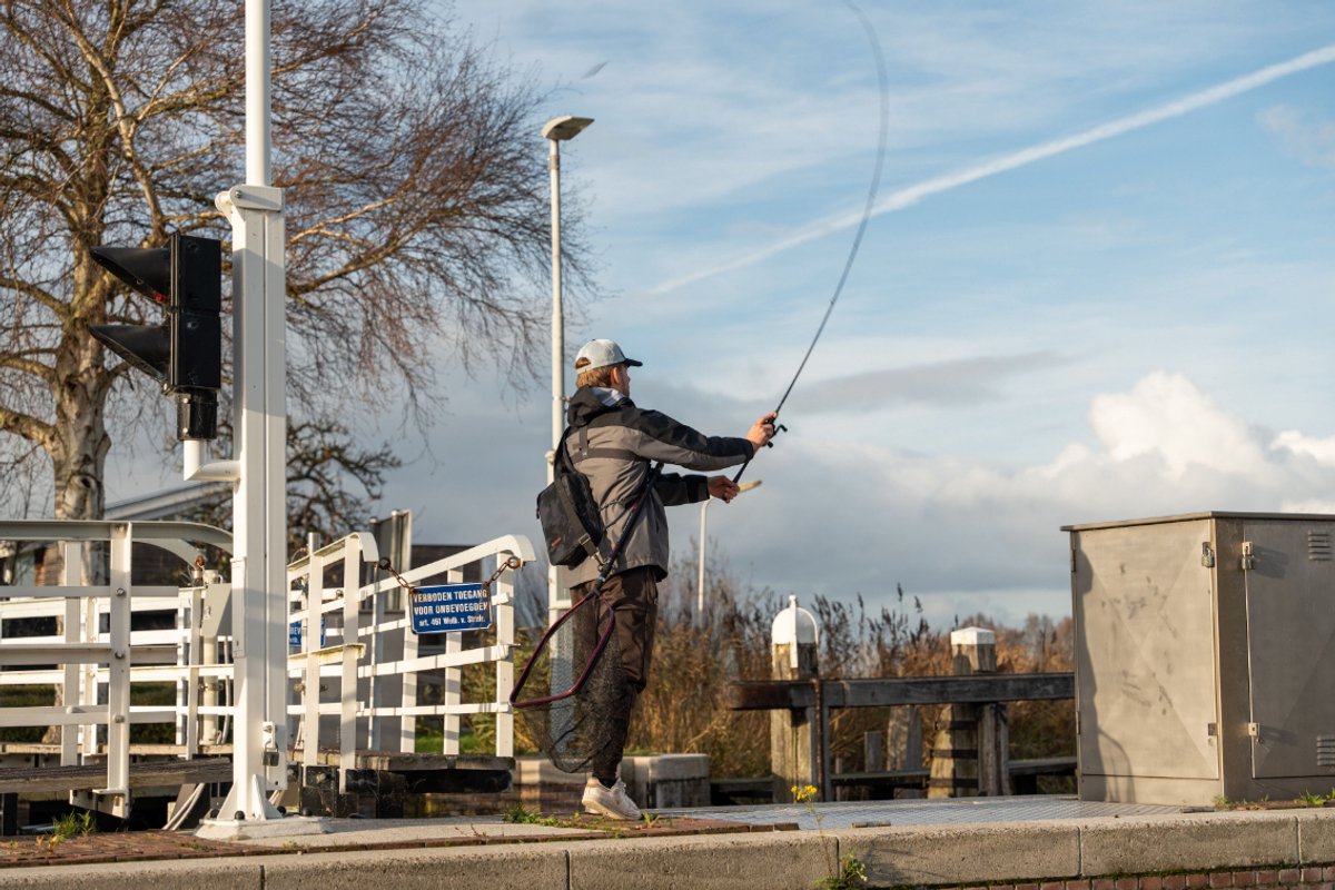 Ultimate Chikara Cast ML 2,36m 5-20g | Baitcaster hengel