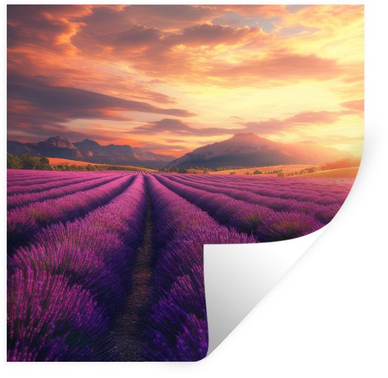 Champs de lavande violets sous un coucher de soleil avec des nuages orange et des montagnes à l'horizon.