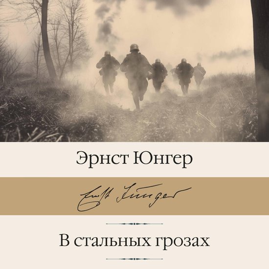 В стальных грозах - cover