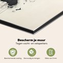 Afbeelding nummer  8