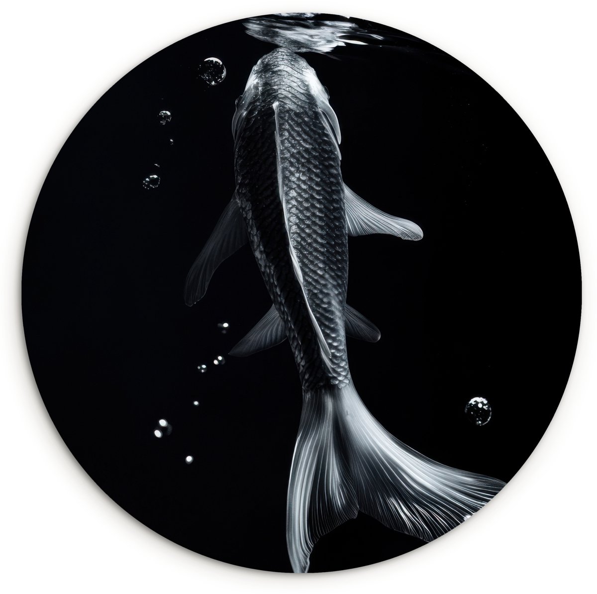 WallCircle Wandcirkel 60x60 cm - Muurcirkel Koi - Vissen - Water - Zwart - Muurdecoratie woonkamer - Wanddecoratie slaapkamer - Kamer decoratie accessoires - Ronde schilderijen Koi - Water