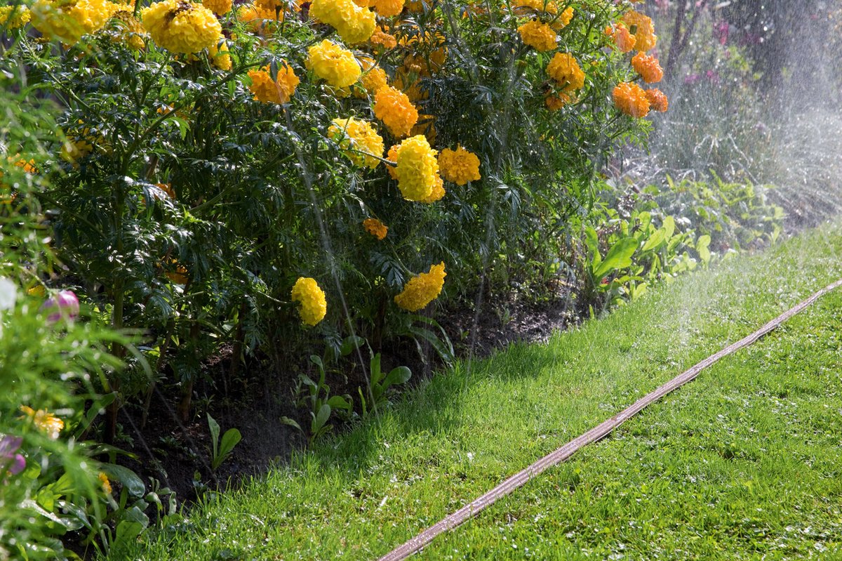 Gardena - Sproeislang - 15meter - bruin – foto 2
