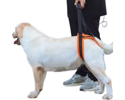 L-Pet Assist Strap - Ondersteuningsriem voor de achterpoten van gehandicapte honden - Verstelbaar ontwerp - Lichtgewicht en draagbaar - Biedt loopondersteuning voor oudere honden - Revalidatieriem voor honden - Verstelbare riem