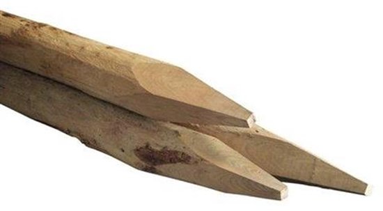 Robinia ronde paal 8-10cm 200cm