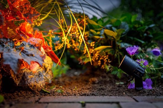 Garden Lights: Neso Tuinspot 12 Volt Set (3st) - Zwart van Garden — afbeelding 4