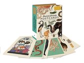 Animalium - set van 50 wenskaarten - Dieren - 12.9 x 17.6 cm