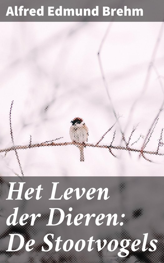 Het Leven der Dieren: De Stootvogels - cover